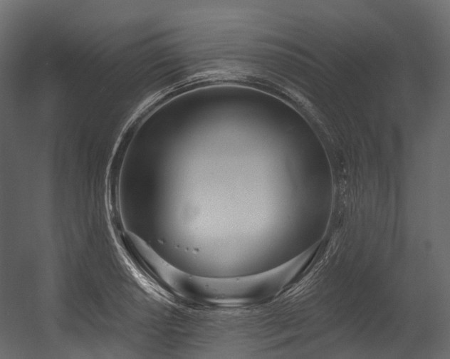 X0000054421034200507291244