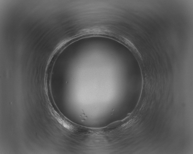 X0000054421035200507291244