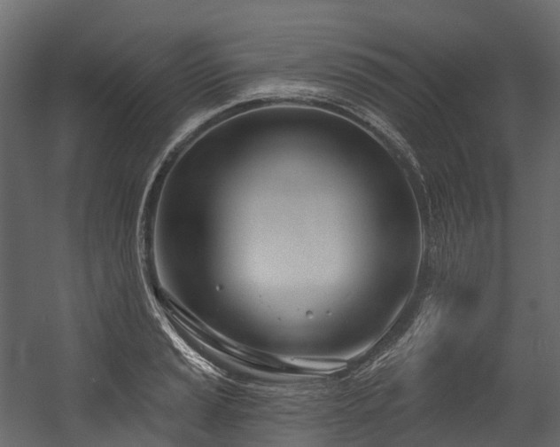 X0000054421037200507291244