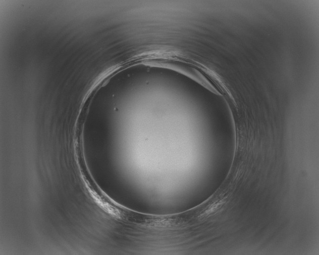 X0000054421042200507291244