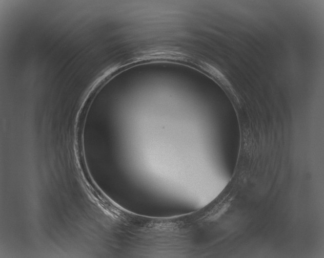 X0000054421043200507291244