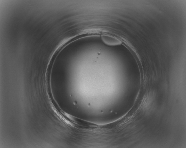 X0000054421045200507291244