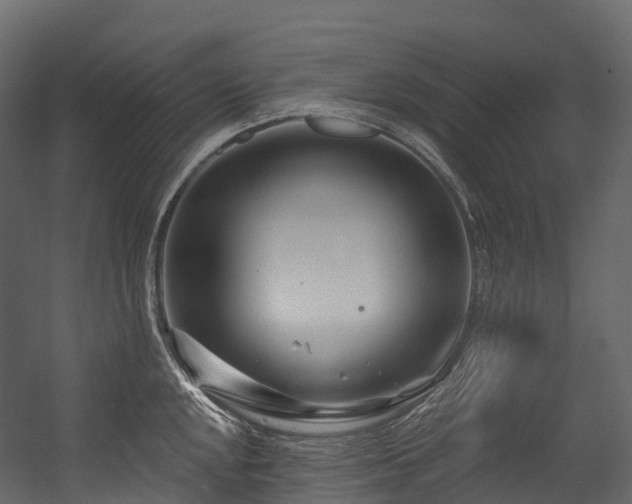 X0000054421048200507291244