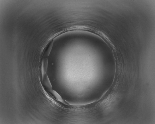 X0000054421049200507291244