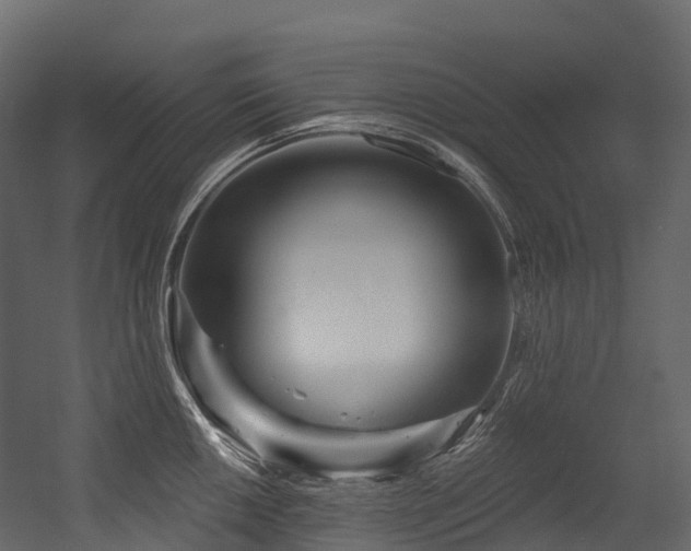 X0000054421050200507291244