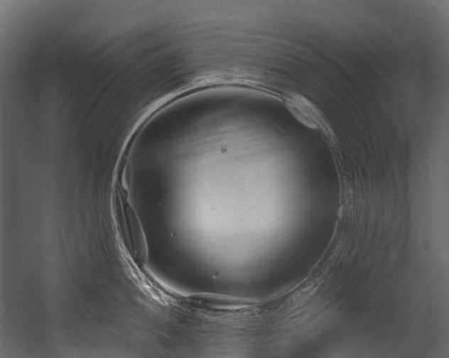 X0000054421052200507291244