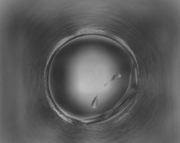 X0000054421053200507291244