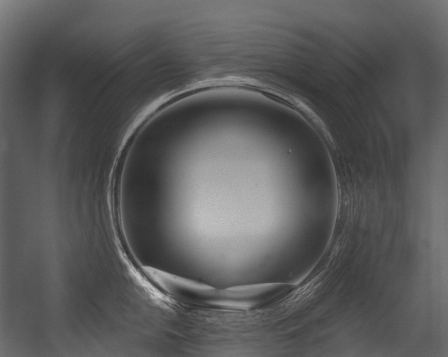 X0000054421054200507291244