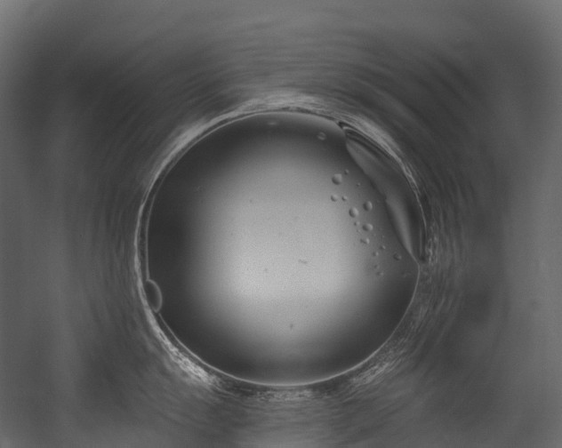 X0000054421055200507291244