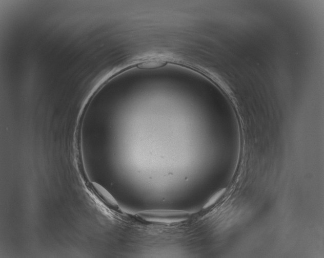 X0000054421056200507291244