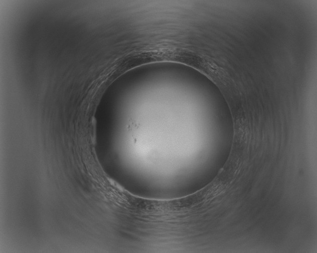 X0000054421057200507291243