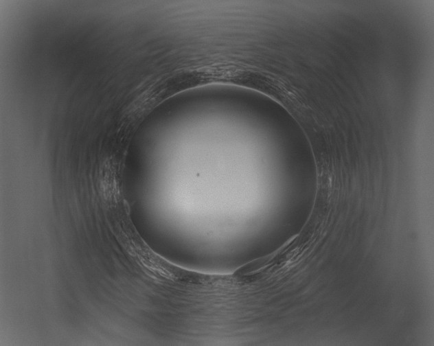 X0000054421058200507291243