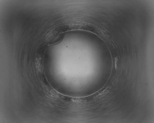 X0000054421059200507291243