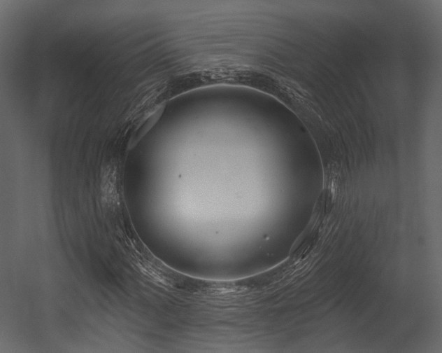 X0000054421060200507291243