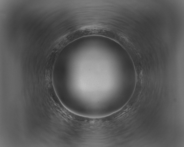 X0000054421062200507291243