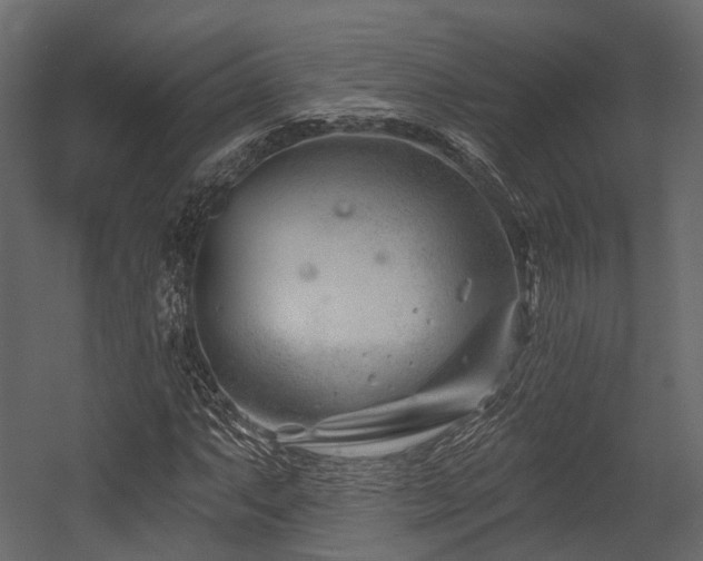 X0000054421063200507291243