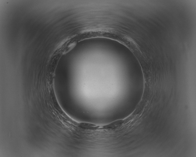 X0000054421064200507291243