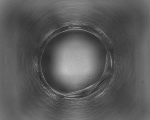 X0000054421065200507291243