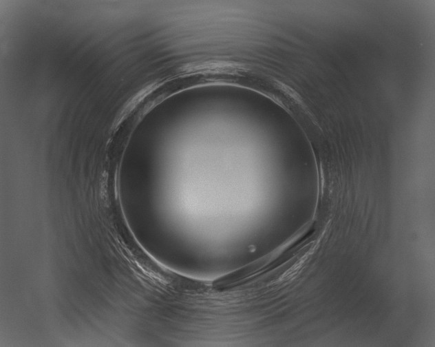 X0000054421066200507291243