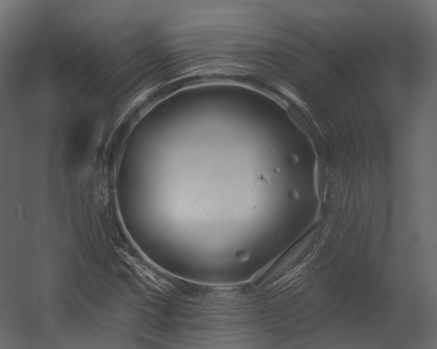 X0000054421067200507291243