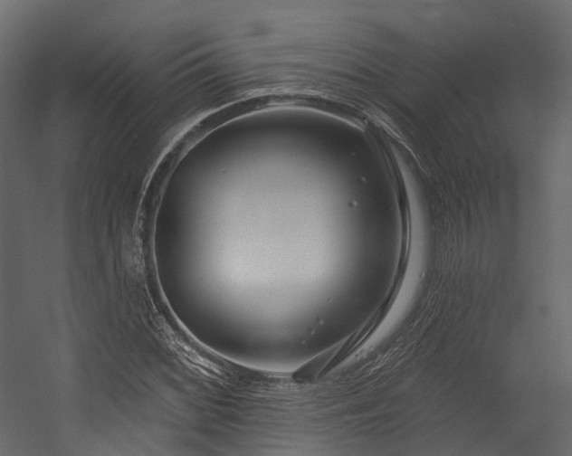 X0000054421068200507291243