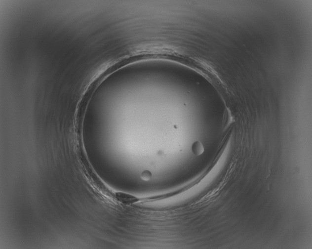 X0000054421071200507291243