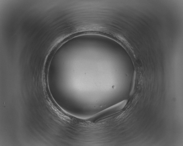 X0000054421072200507291243