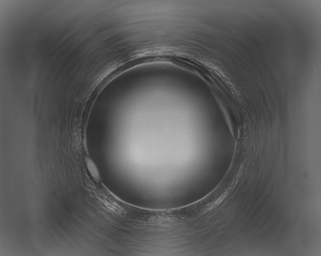 X0000054421073200507291243