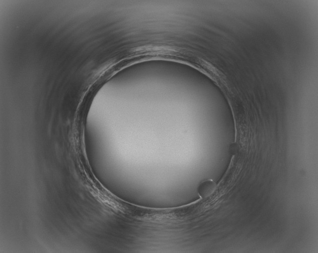 X0000054421074200507291243