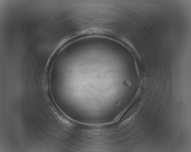 X0000054421075200507291243