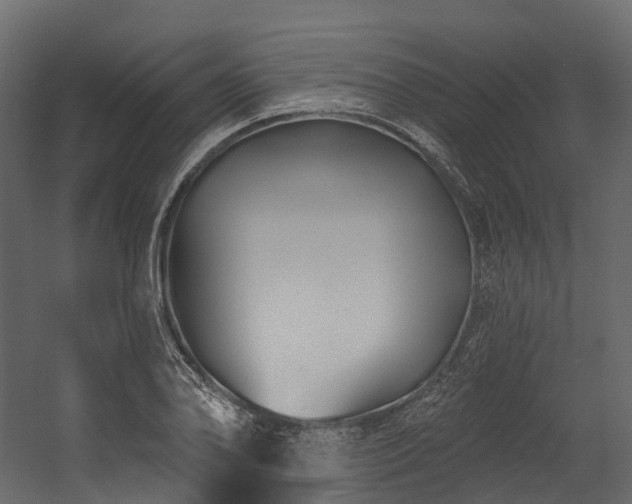 X0000054421078200507291243