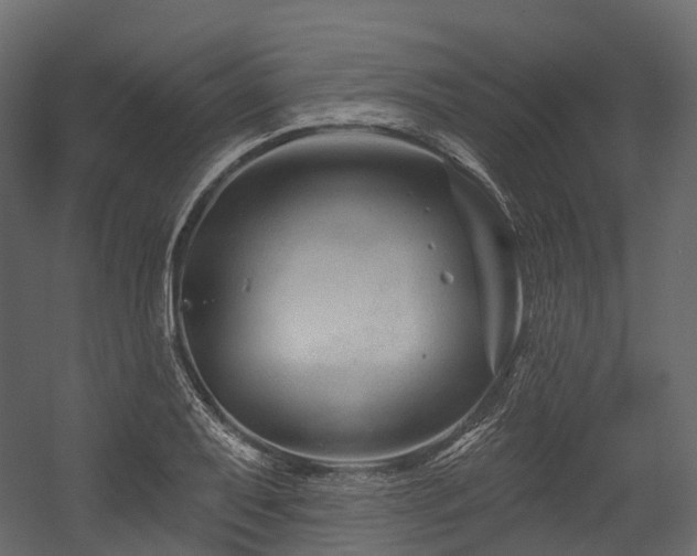 X0000054421079200507291243