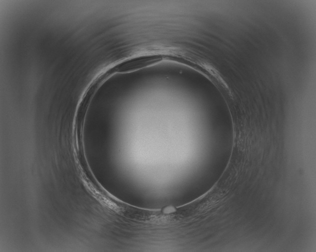 X0000054421080200507291243