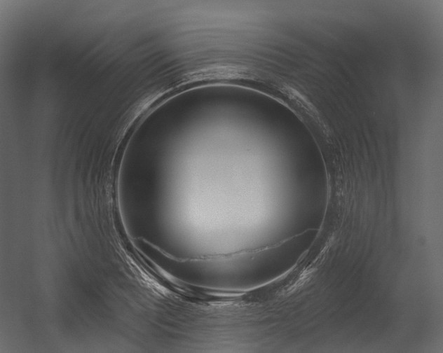 X0000054421081200507291243