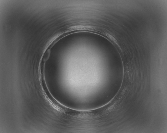 X0000054421082200507291243