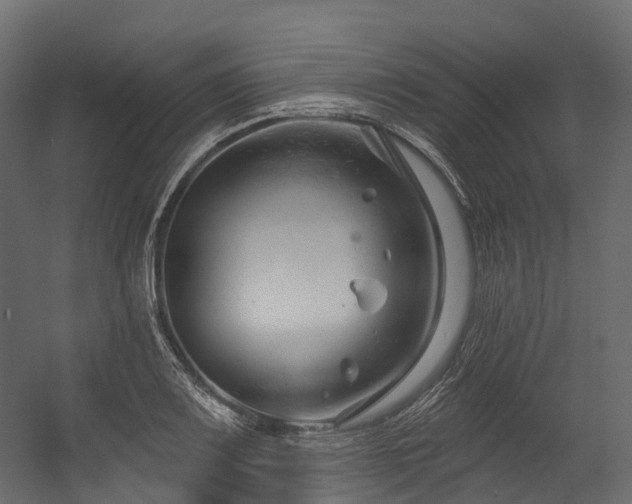 X0000054421083200507291243