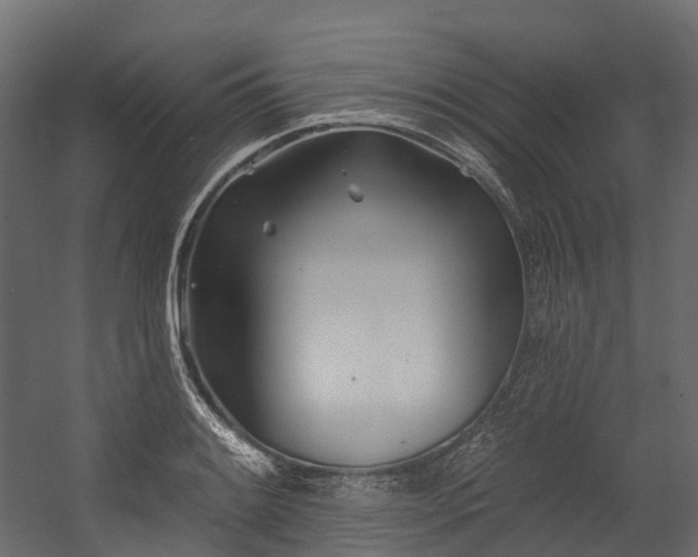 X0000054421084200507291243