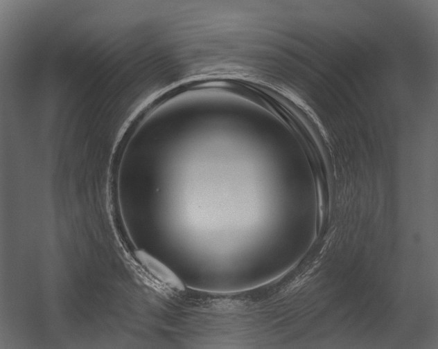 X0000054421085200507291243