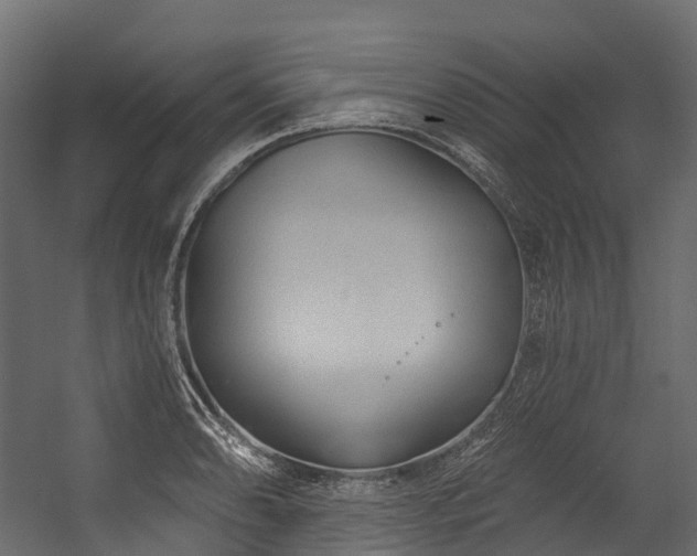 X0000054421086200507291243