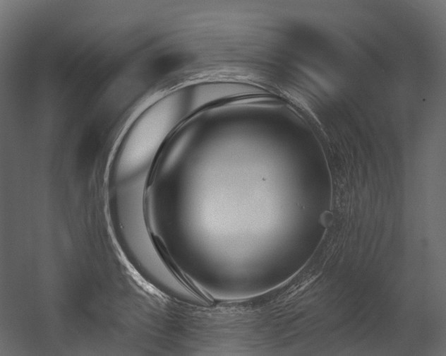 X0000054421087200507291243