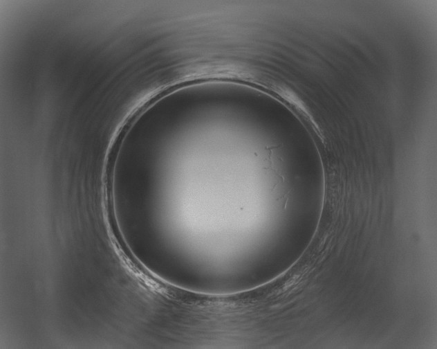 X0000054421088200507291243