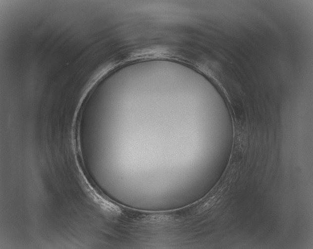 X0000054421090200507291243