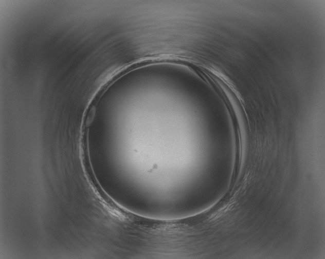 X0000054421093200507291243