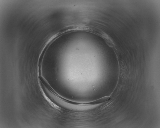 X0000054421095200507291242