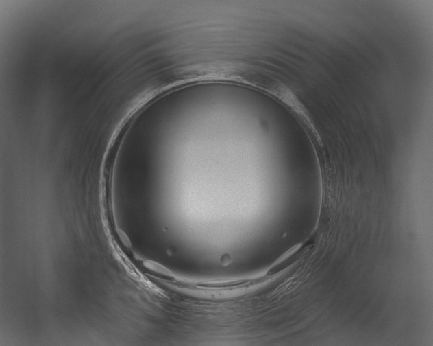 X0000054421096200507291242