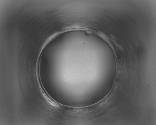 X0000054421098200507291242