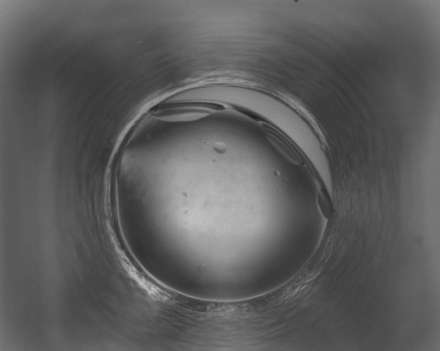 X0000054421099200507291242