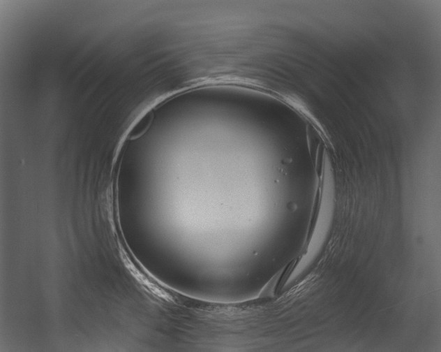 X0000054421100200507291242