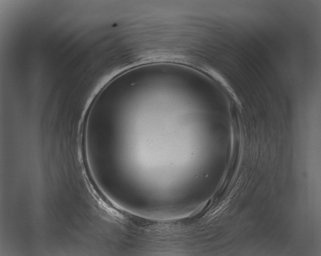 X0000054421102200507291242