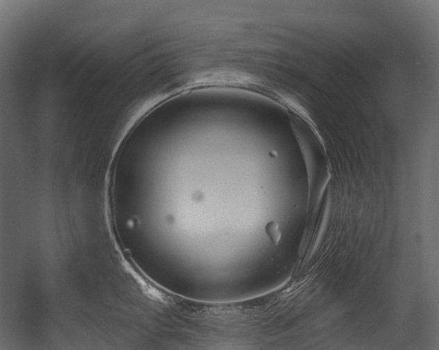 X0000054421103200507291242